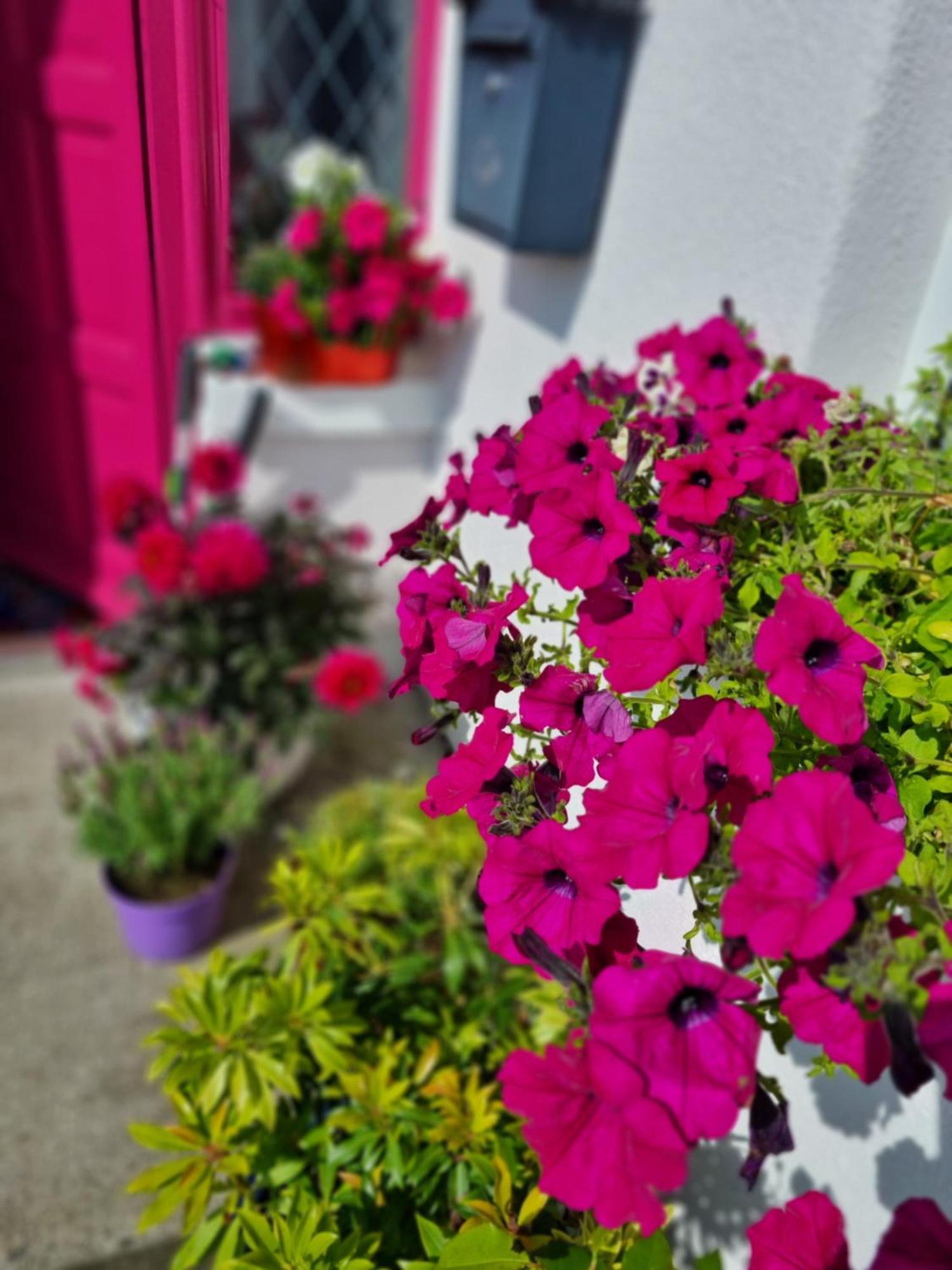 Apartamento The Pink Door Killala Exterior foto